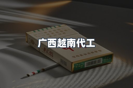 广西越南代工